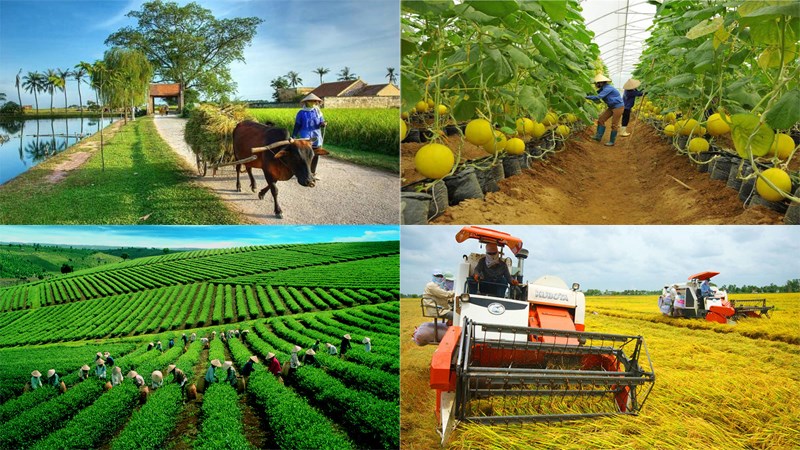 Giải quyết việc làm cho nông dân trong quá trình công nghiệp hóa, hiện đại hóa nông nghiệp nông thôn ở huyện Tịnh Biên, tỉnh An Giang